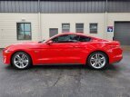 Thumbnail Photo 72 for 2021 Ford Mustang GT Premium
